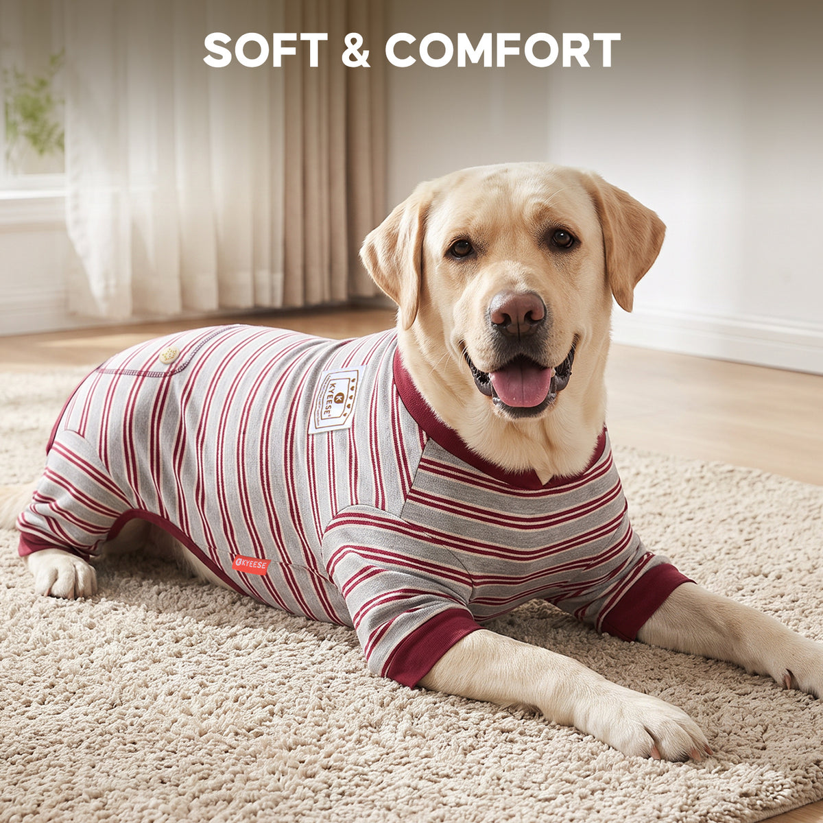 Yellow Labrador resting on rug in gray striped onesie with burgundy cuffs