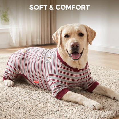 Yellow Labrador resting on rug in gray striped onesie with burgundy cuffs