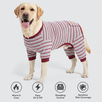 Yellow Labrador standing against gray background wearing gray striped onesie