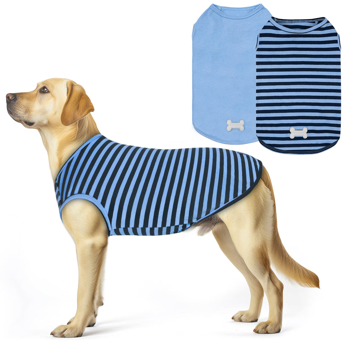 Blue-and-navy striped sleeveless dog shirt on dog with light blue back panel