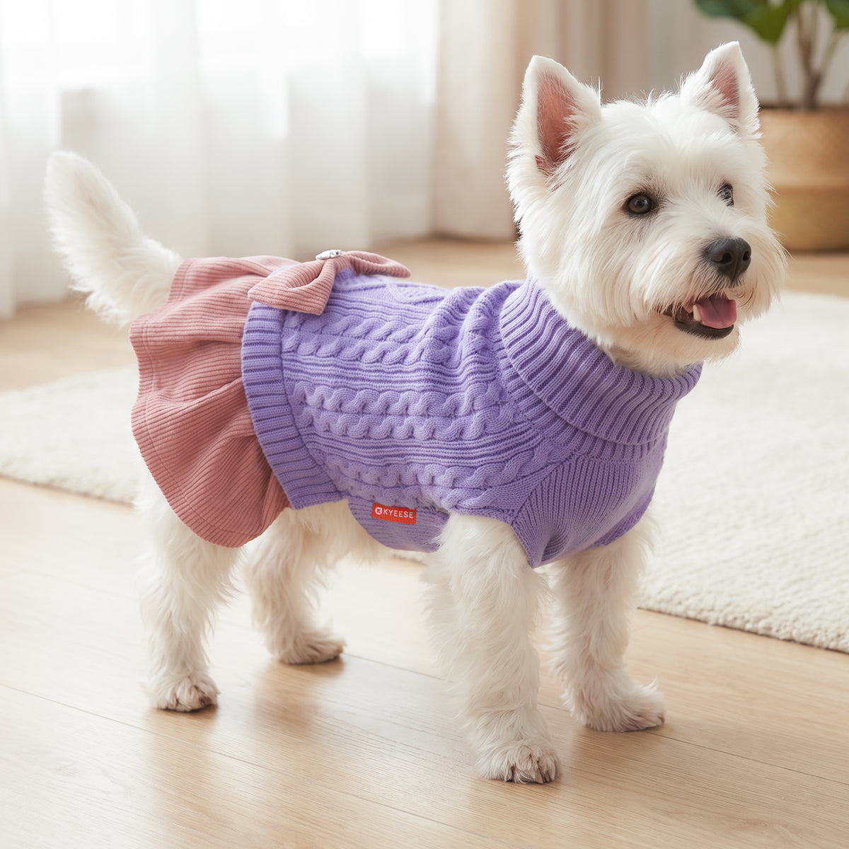 White dog standing indoors in light purple cable knit dress with pink skirt