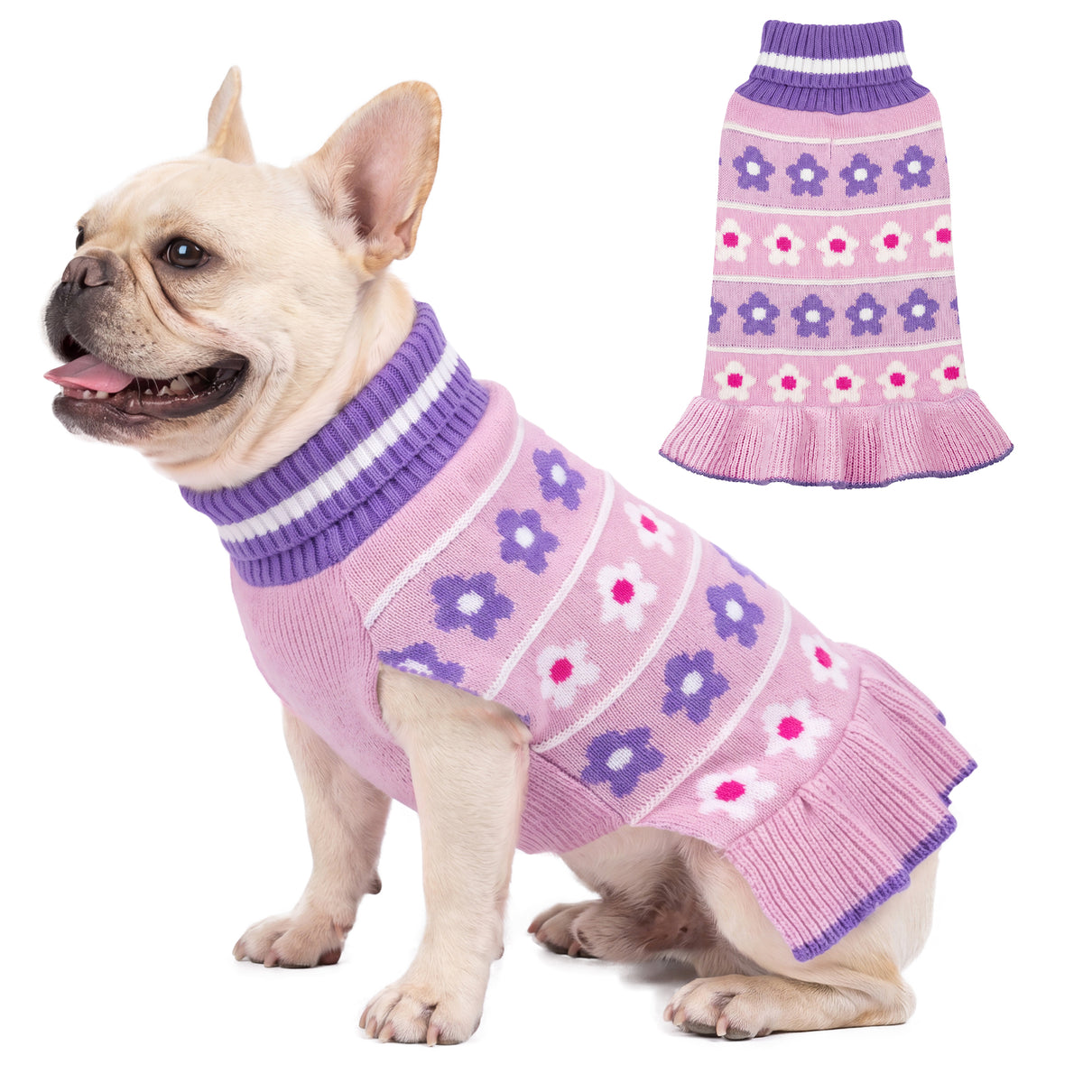 Cream French bulldog in purple and pink floral knit dog dress beside a flat lay