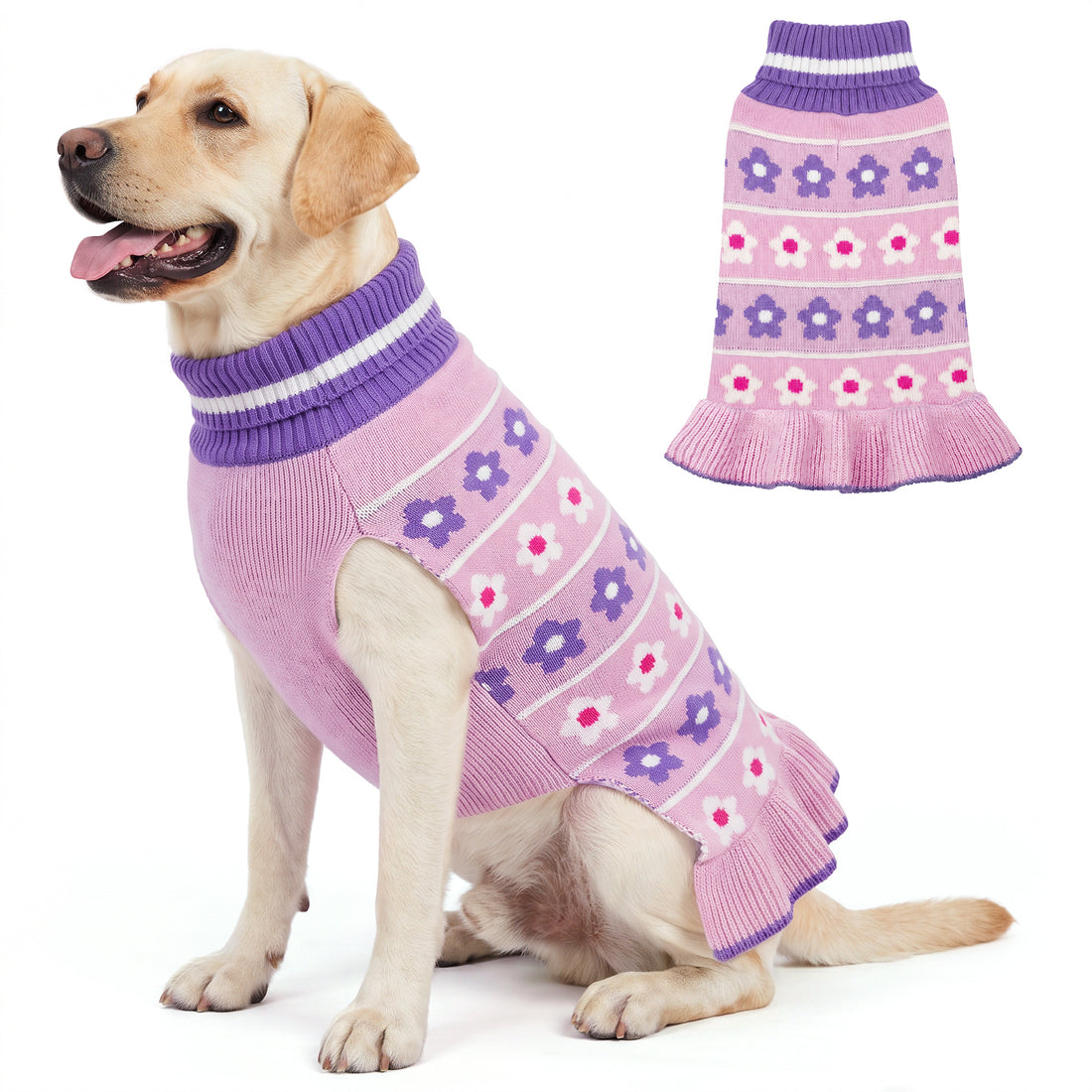 Tan dog seated in pink sweater dress with purple flowers beside a flat lay