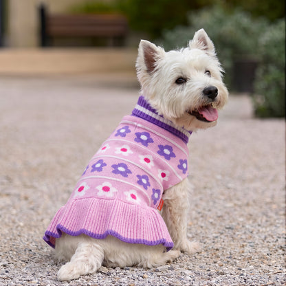 Small white dog outdoors wearing pink dog dress with purple and white flowers