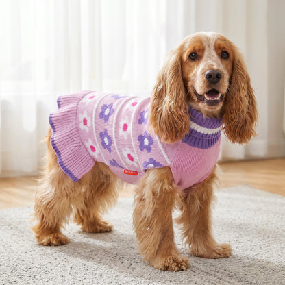 Brown long haired dog standing indoors in pink and purple floral knit dress
