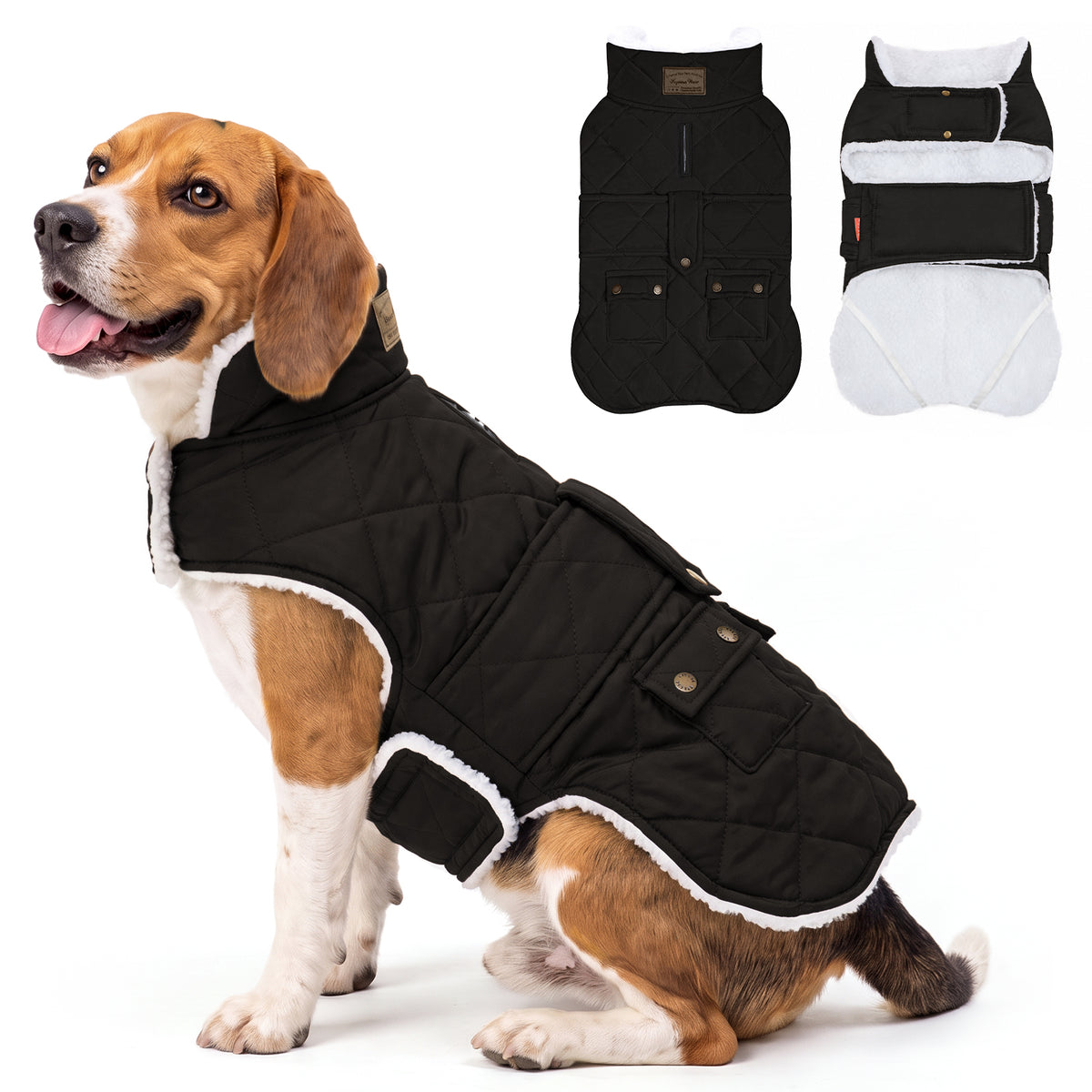 Black quilted winter dog coat shown on a small beagle with a flat lay