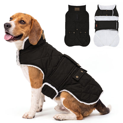 Black quilted winter dog coat shown on a small beagle with a flat lay