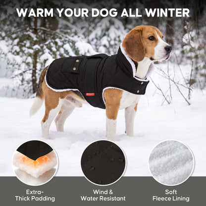 Black quilted fleece-lined dog coat warmth and fabric details on a small dog