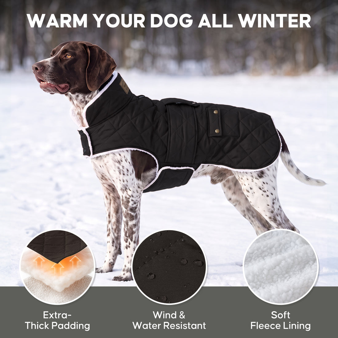 Black quilted fleece-lined dog coat warmth and fabric details on a large dog