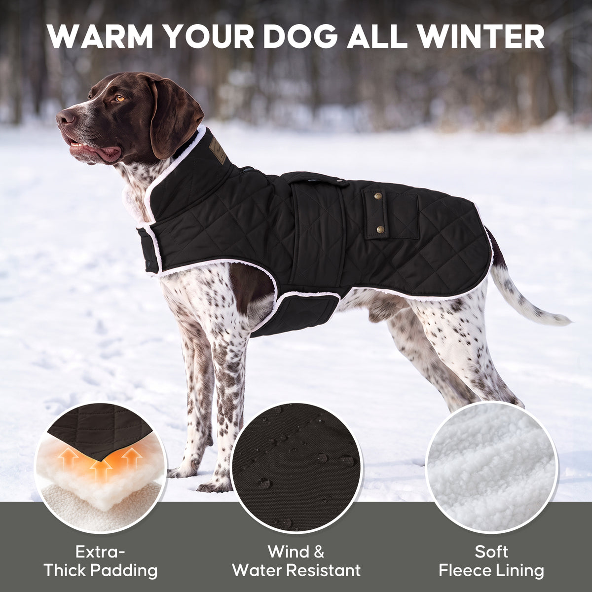 Black quilted fleece-lined dog coat warmth and fabric details on a large dog
