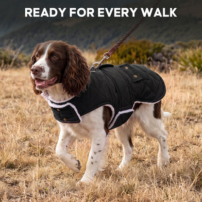 Black quilted dog winter coat worn by a spaniel outdoors