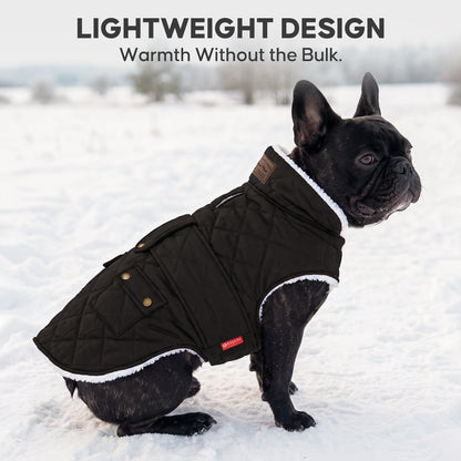 Black quilted winter dog coat worn by a French bulldog