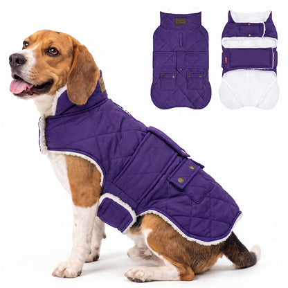 Purple quilted winter dog coat shown on a small beagle with a flat lay