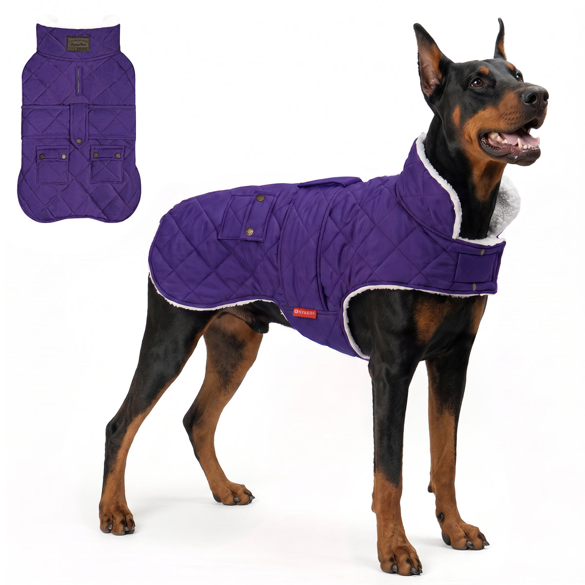 Purple quilted winter dog coat shown on a large Doberman with a flat lay