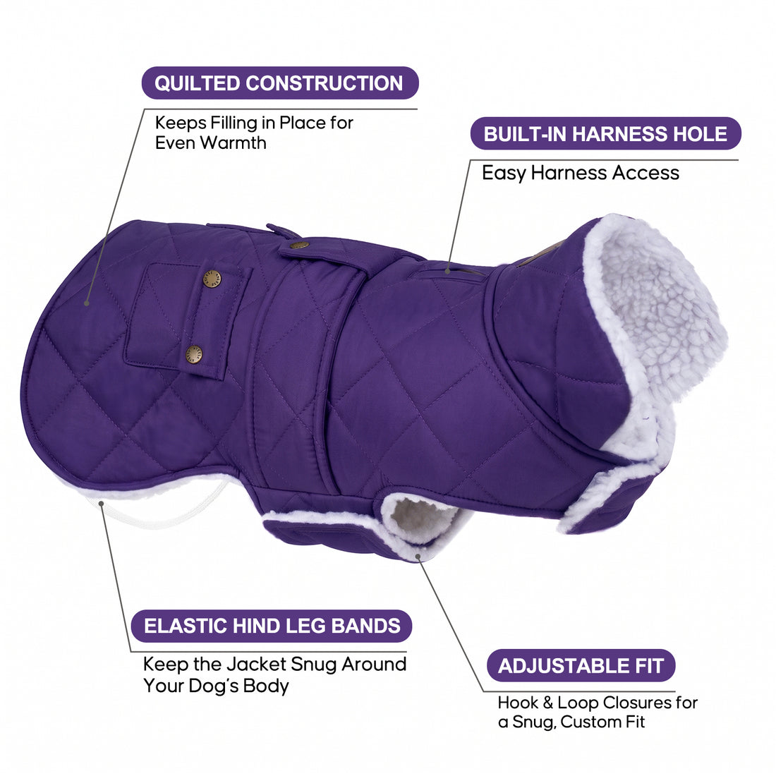 Purple dog coat details showing harness opening, elastic rear bands and adjustable hook-and-loop closure