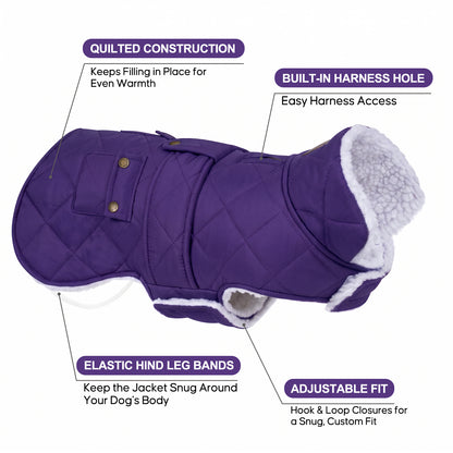 Purple dog coat details showing harness opening, elastic rear bands and adjustable hook-and-loop closure