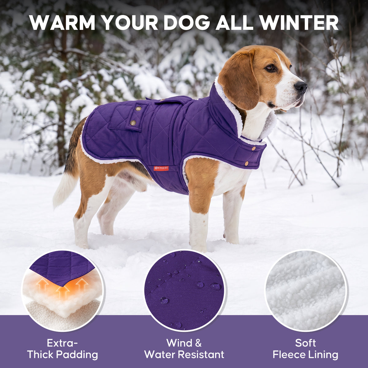 Purple quilted fleece-lined dog coat warmth and fabric details on a small dog