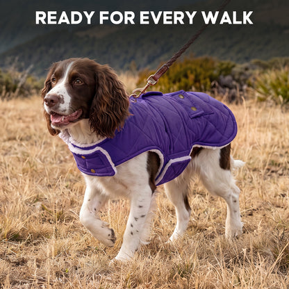 Purple quilted dog winter coat worn by a spaniel outdoors