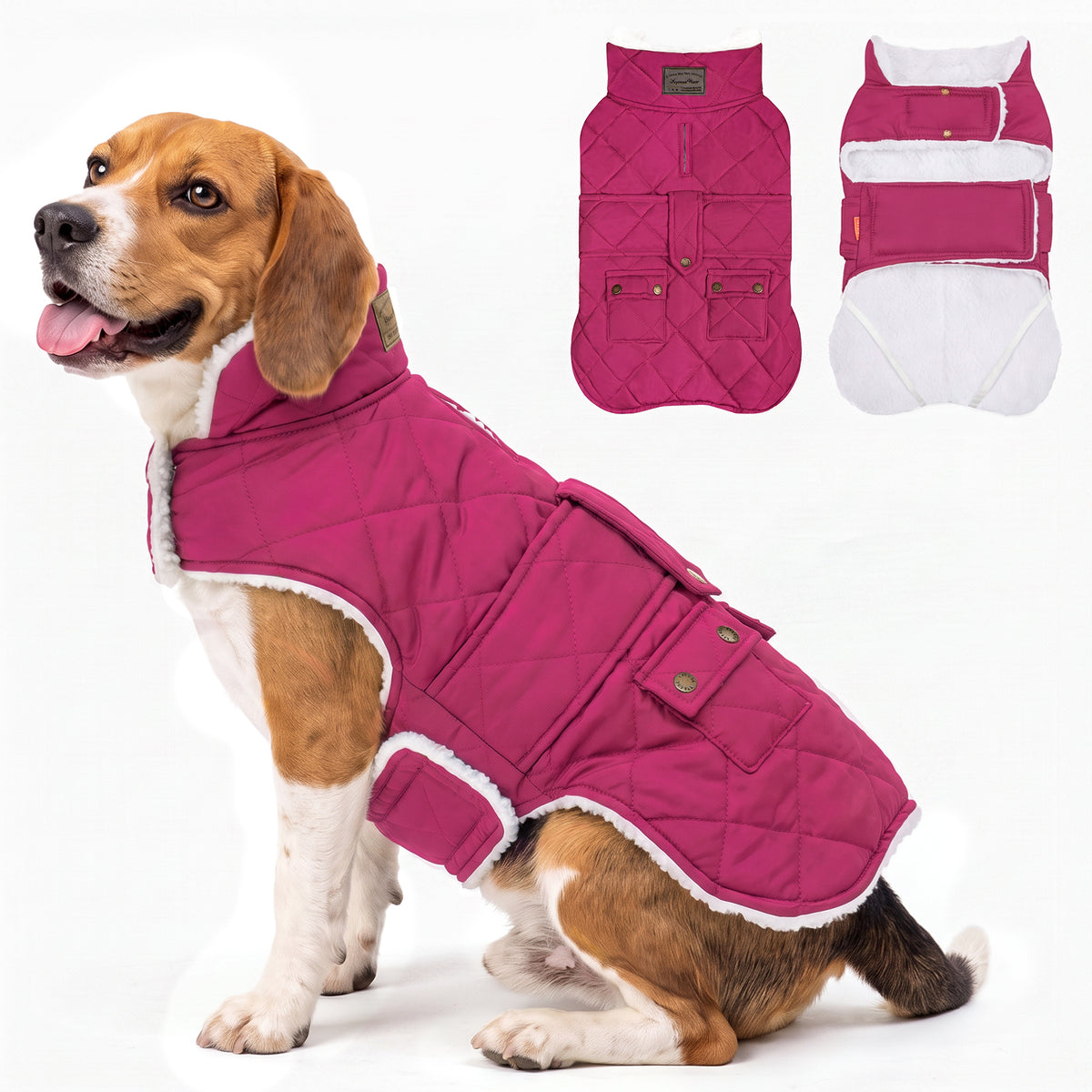 Rose Red quilted winter dog coat shown on a small beagle with a flat lay