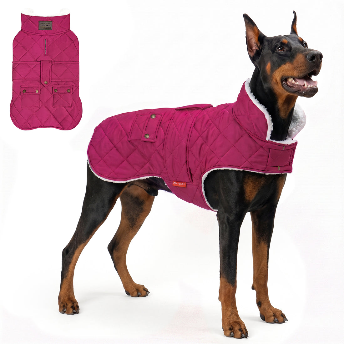 Rose Red quilted winter dog coat shown on a large Doberman with a flat lay
