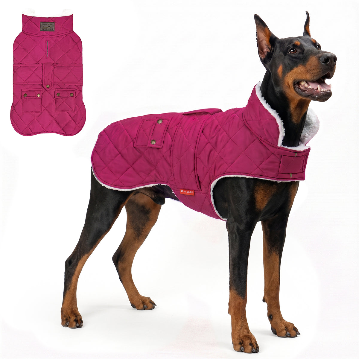Rose Red quilted winter dog coat shown on a large Doberman with a flat lay