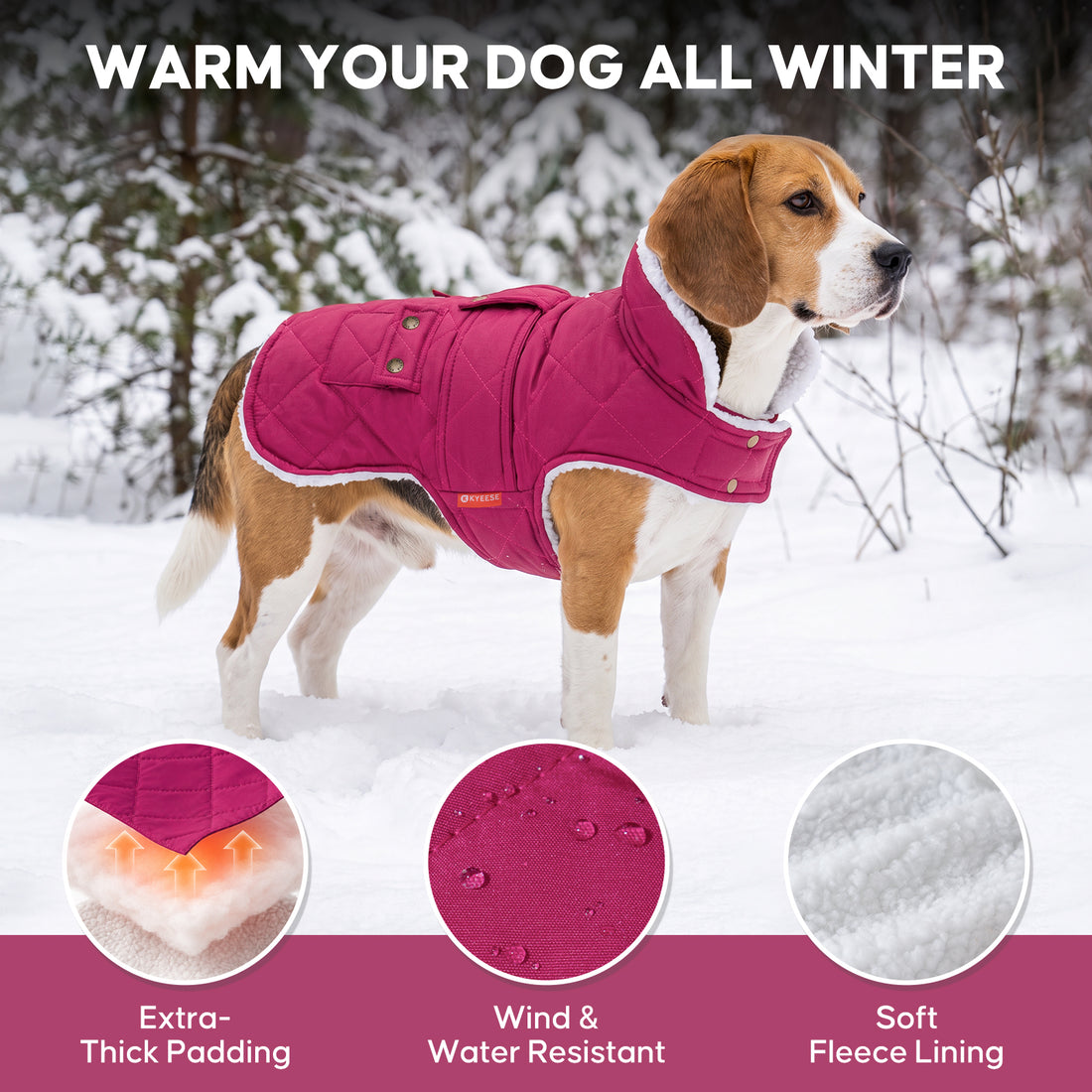 Rose Red quilted fleece-lined dog coat warmth and fabric details on a small dog