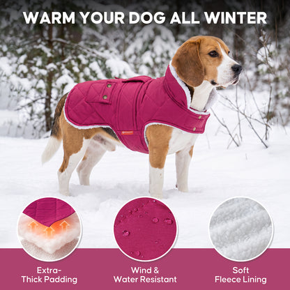 Rose Red quilted fleece-lined dog coat warmth and fabric details on a small dog