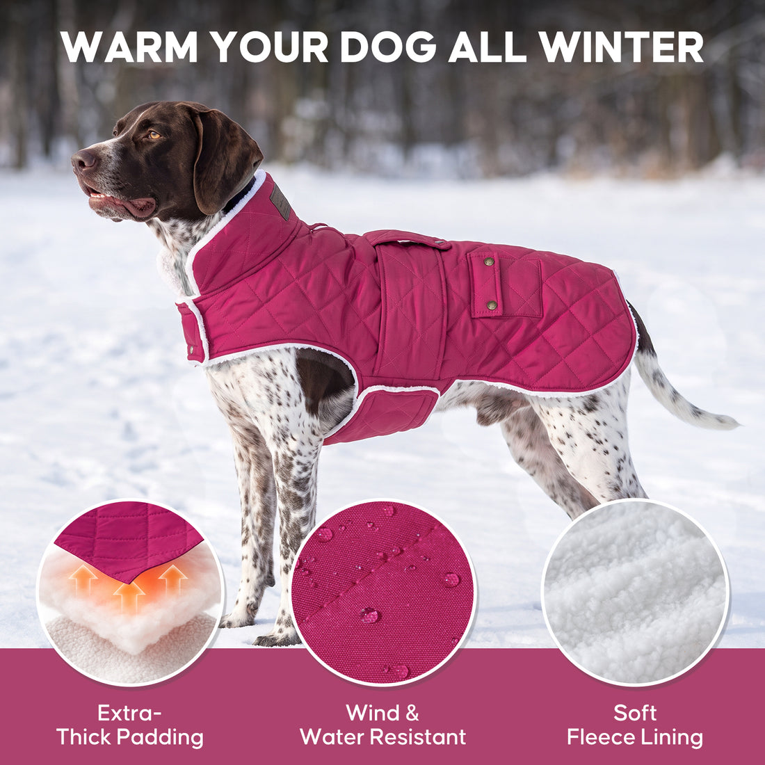 Rose Red quilted fleece-lined dog coat warmth and fabric details on a large dog