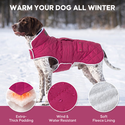 Rose Red quilted fleece-lined dog coat warmth and fabric details on a large dog