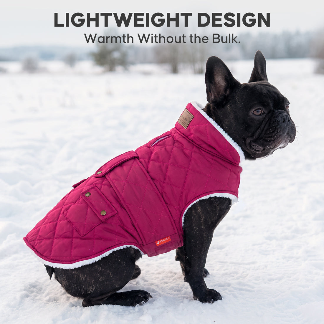 Rose Red quilted winter dog coat worn by a French bulldog
