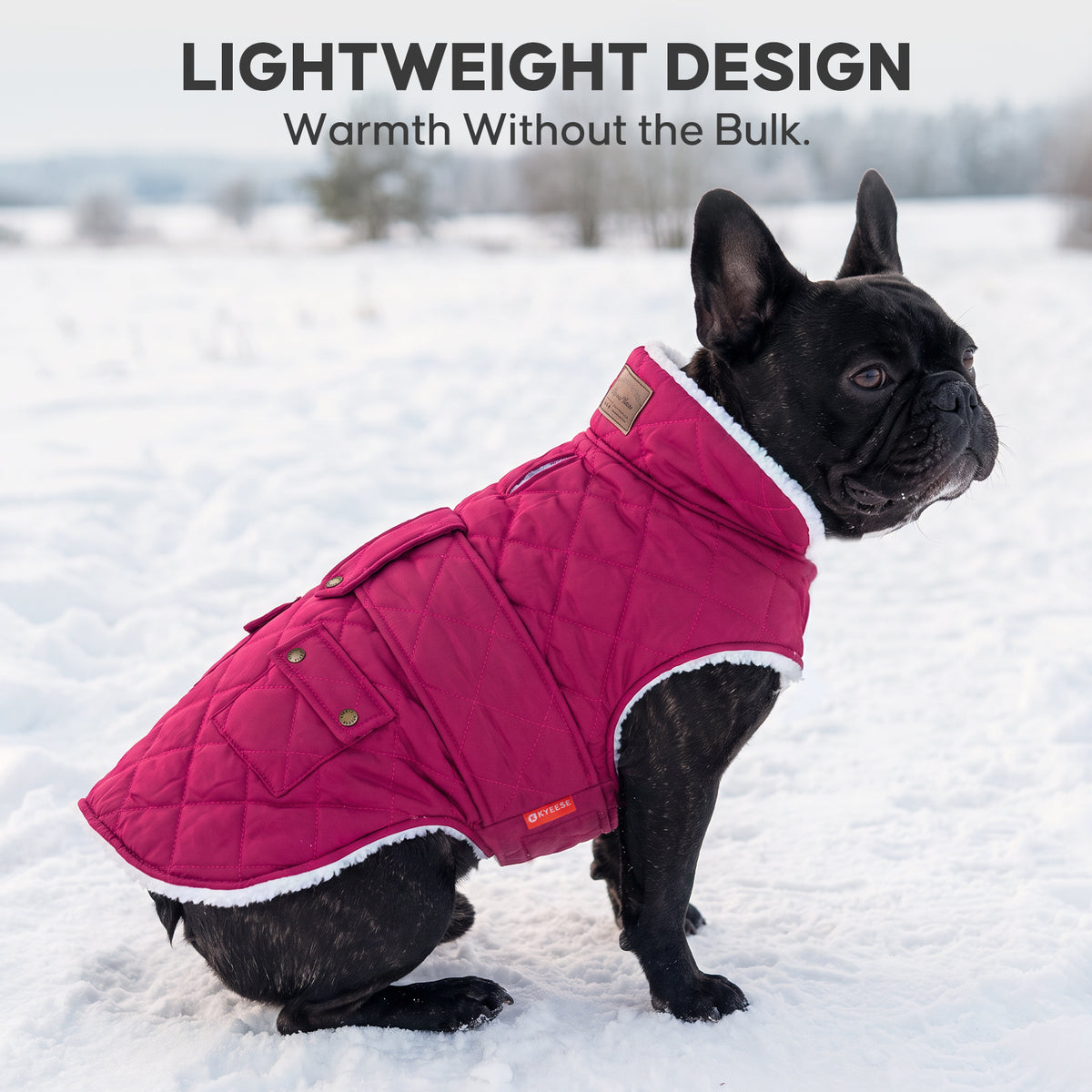 Rose Red quilted winter dog coat worn by a French bulldog