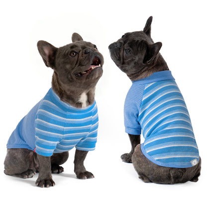 Raglan Sleeve Waffle Breathable Dog Shirt 2 Pack - gallery image 3