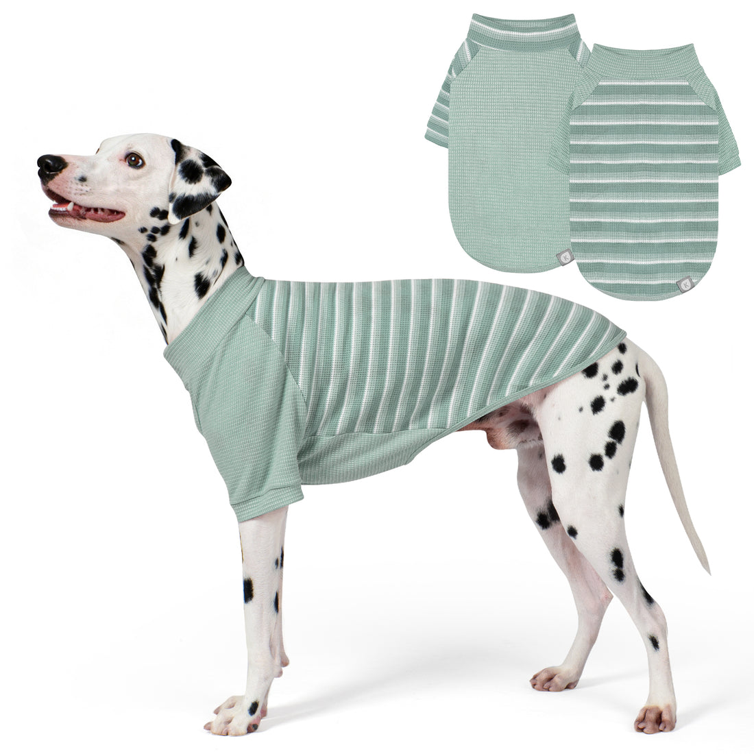 Green waffle raglan dog shirt 2 pack - Dalmatian wearing striped shirt with solid and striped flat lays