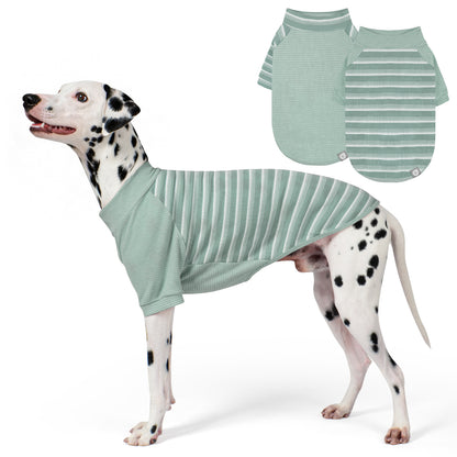 Green waffle raglan dog shirt 2 pack - Dalmatian wearing striped shirt with solid and striped flat lays