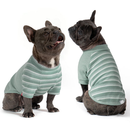 Green waffle raglan dog shirt 2 pack - French bulldogs showing front and back of striped shirts