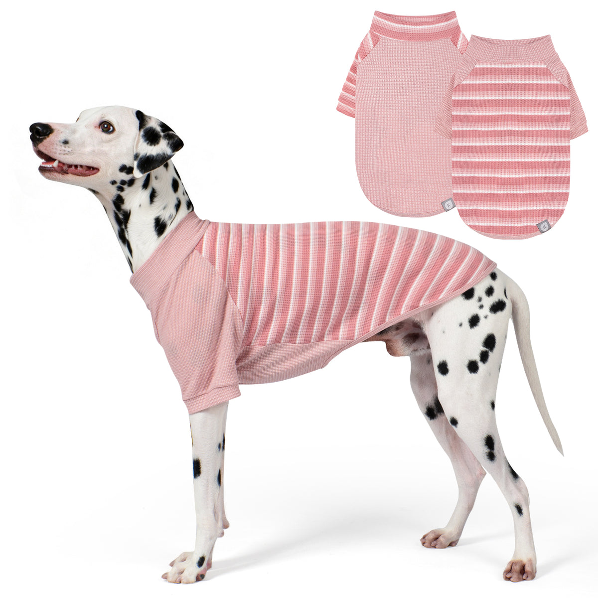 Pink waffle raglan dog shirt 2 pack - Dalmatian wearing striped shirt with solid and striped flat lays