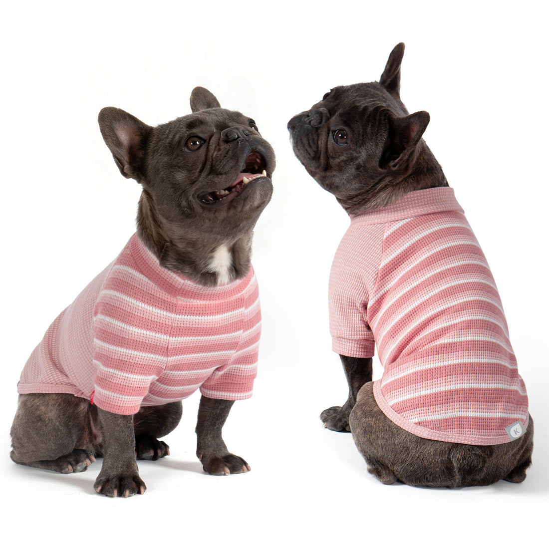 Pink waffle raglan dog shirt 2 pack - French bulldogs showing front and back of striped shirts