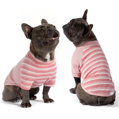 Pink waffle raglan dog shirt 2 pack - French bulldogs showing front and back of striped shirts