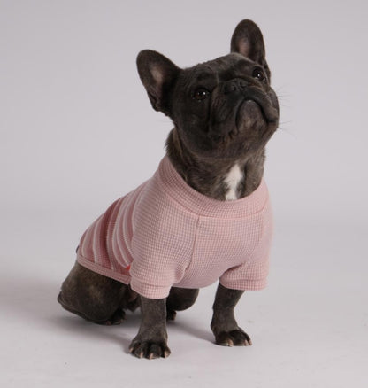 Pink waffle raglan dog shirt 2 pack - French bulldog wearing solid pink waffle shirt