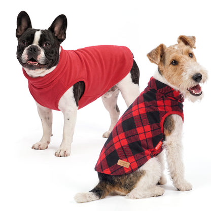 Black French bulldog in solid red top beside terrier in red and black plaid top
