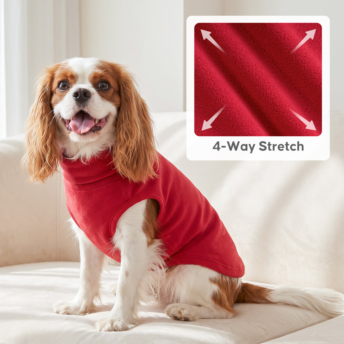 Small brown and white dog sitting on a sofa in solid red sleeveless shirt