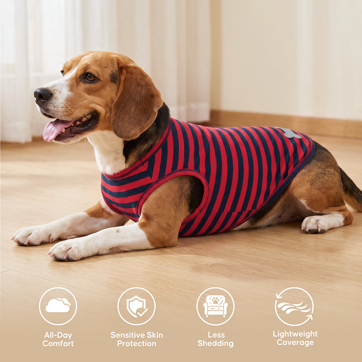 Beagle lying indoors in red and navy striped sleeveless dog shirt