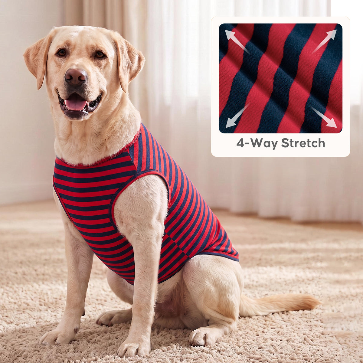 Yellow Labrador seated indoors in red and navy striped sleeveless shirt