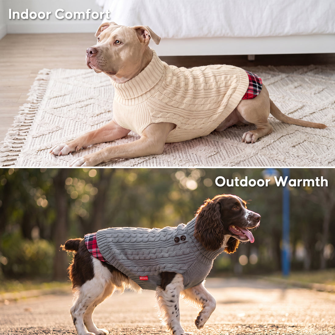 Cream cable knit dog sweater for indoor comfort and grey turtleneck dog sweater with plaid hem worn outdoors