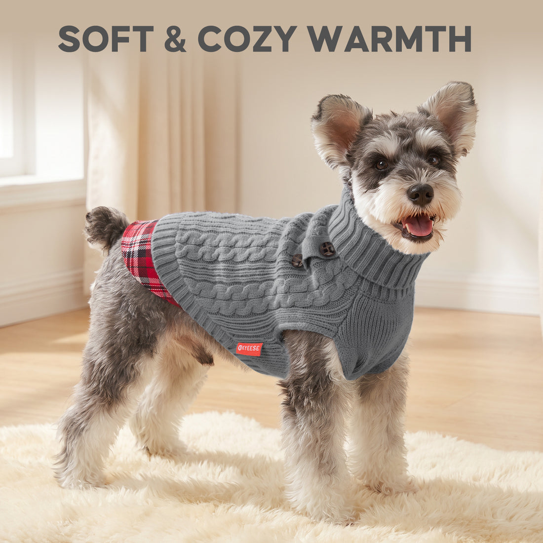 Schnauzer standing indoors in a grey cable knit turtleneck dog sweater with plaid hem