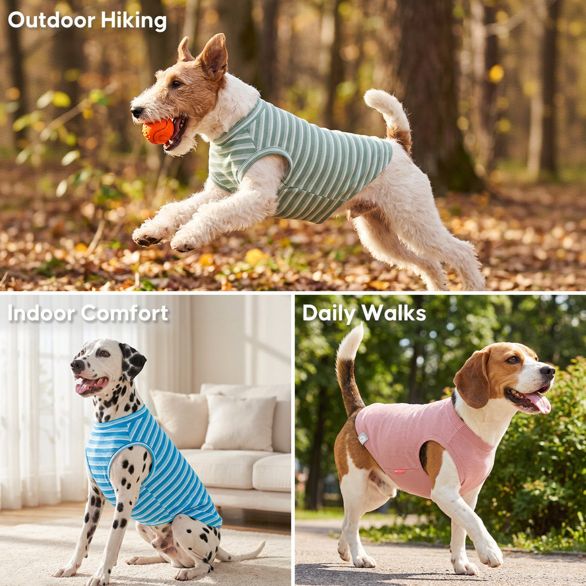 Collage of dogs wearing blue, pink and green striped dog shirts indoors and outdoors