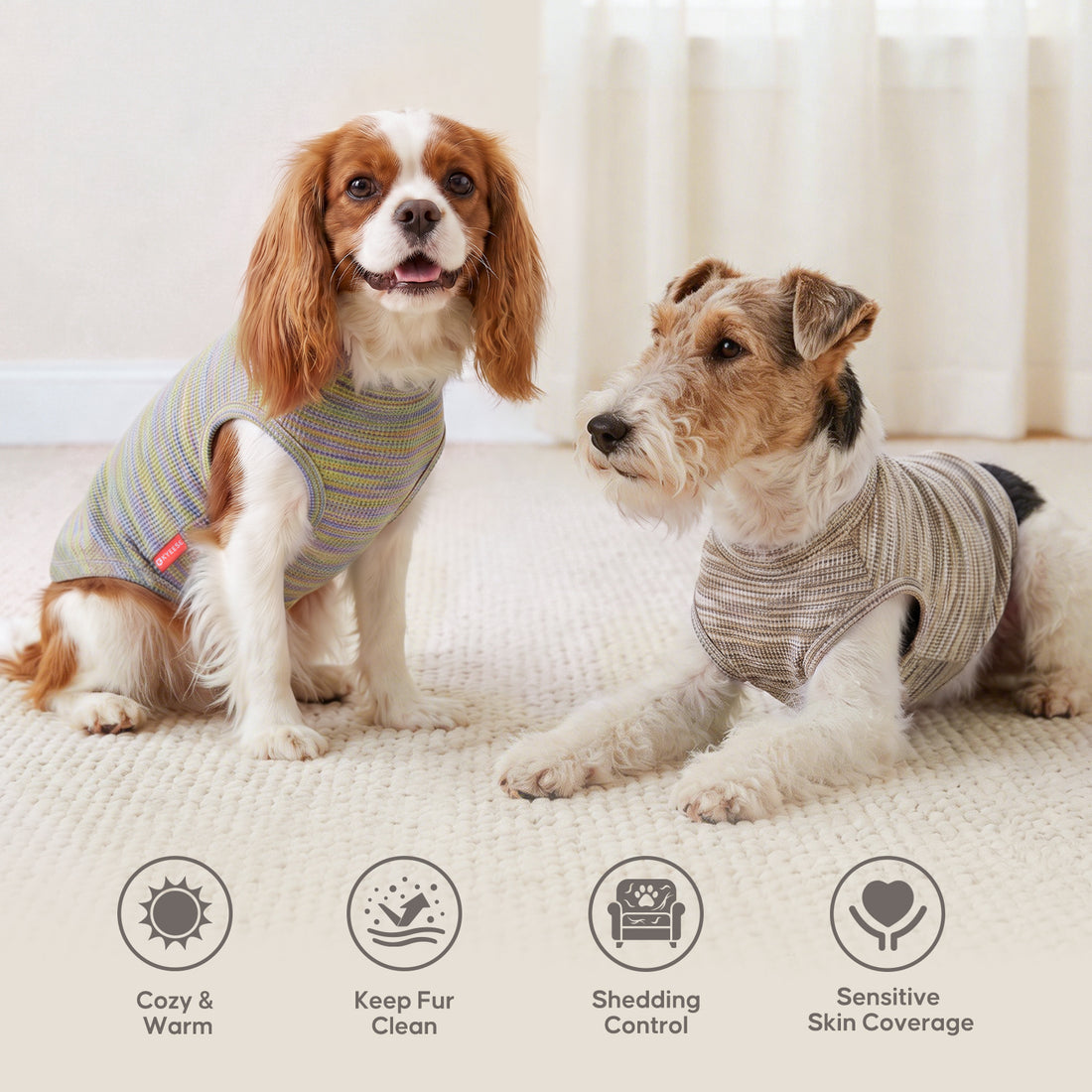 Two small dogs indoors wearing multicolor and beige marled sleeveless shirts