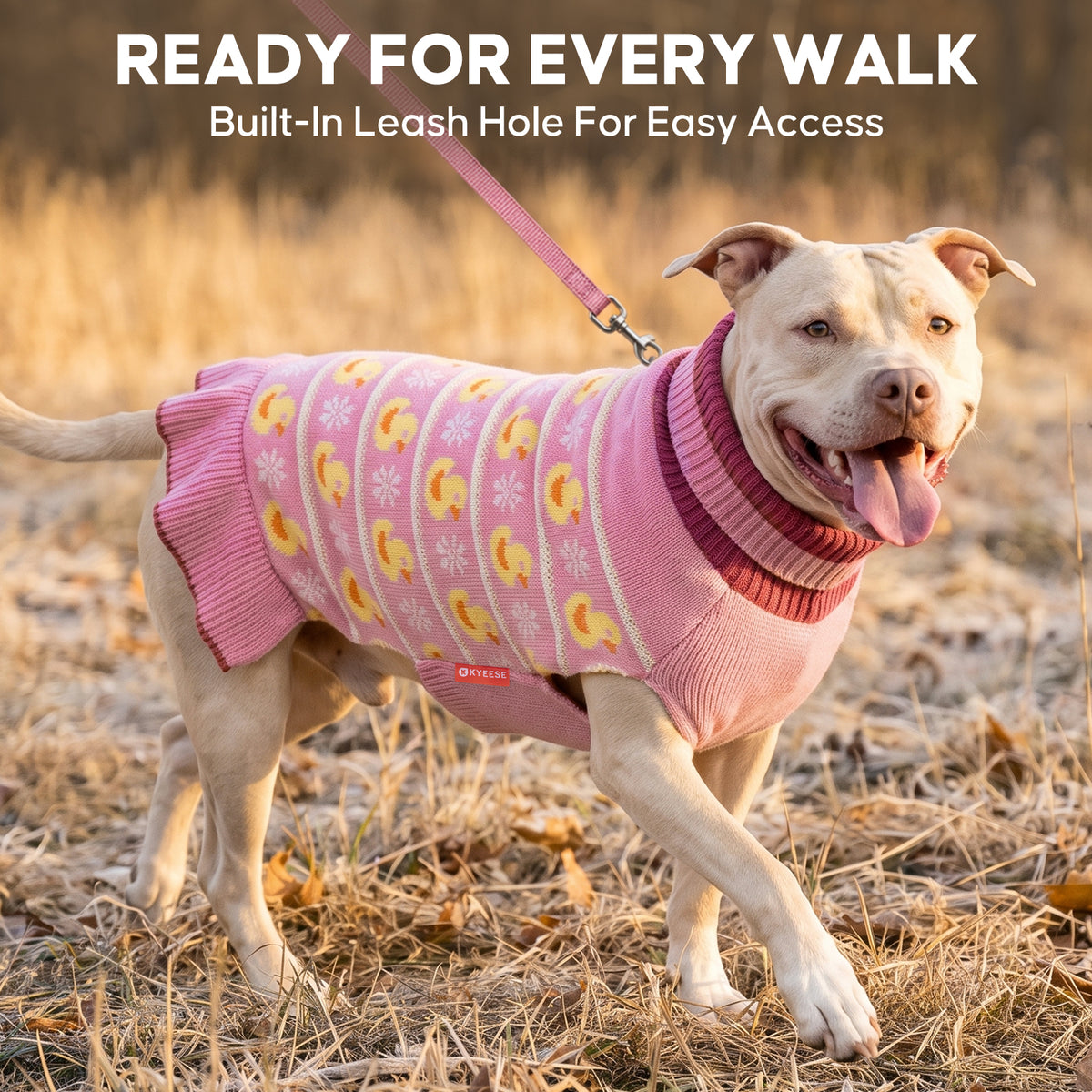 Tan dog walking outdoors on a leash in a pink dress with yellow duck pattern