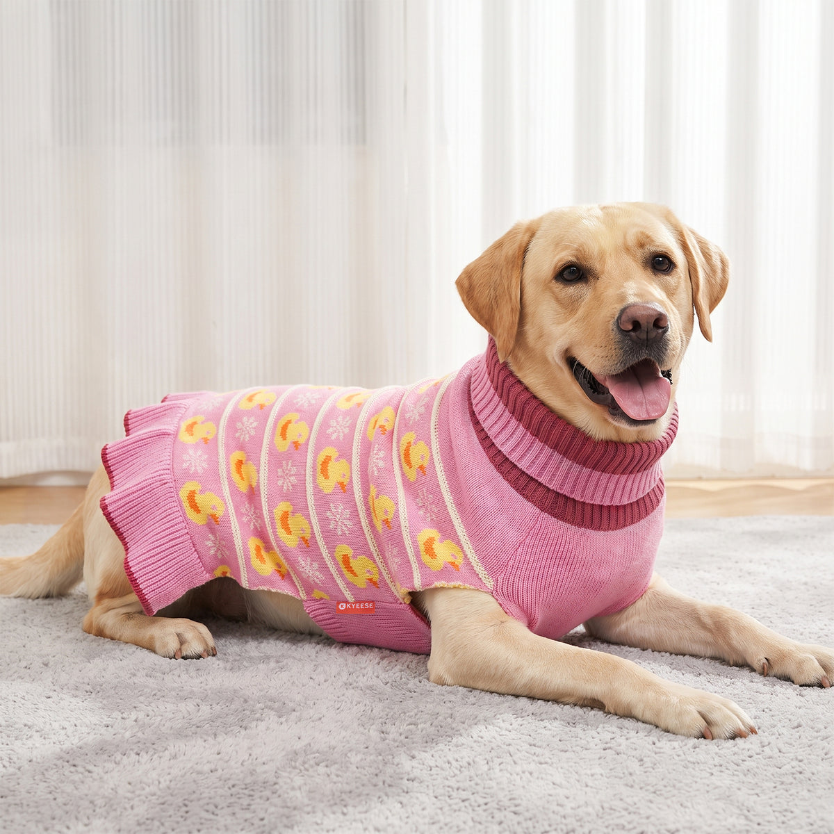 Tan dog resting indoors wearing a pink duck knit dog dress with ribbed collar