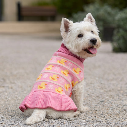 White small dog outdoors in a pink knit dress with yellow ducks and ruffled hem